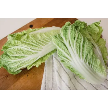 Cabbage (4)-9902068-72207.webp